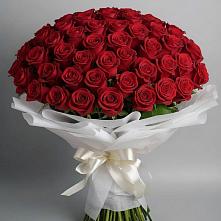 Букет 101 Красная роза Блэк Мэджик в Городище