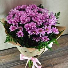 Букет цветов из:  Хризантемы #REPLACE_PRED# Городище