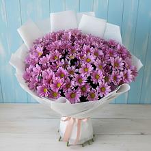 Букет цветов из:  Хризантемы в Городище