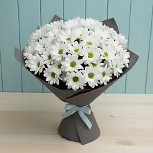 Букет цветов из:  Хризантемы в Городище