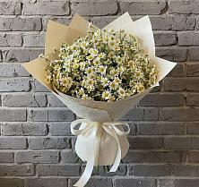 Букет цветов из:  Ромашки в Городище
