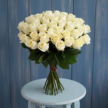 Букет 51 Белая роза Эдлесс Лав #REPLACE_PRED# Городище