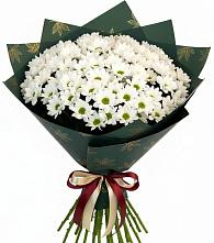 Букет цветов из:  Хризантемы #REPLACE_PRED# Городище