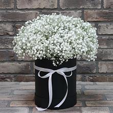 Цветочная композиция из Гипсофила в шляпной коробке в Городище