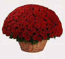 Премиум букет из: Розы в Городище